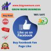 Buy FB Fan Page Likes