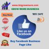 Buy FB Page Likes: