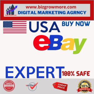 ebay experts